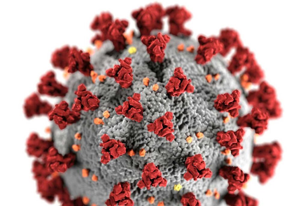 COVID 19 virus
