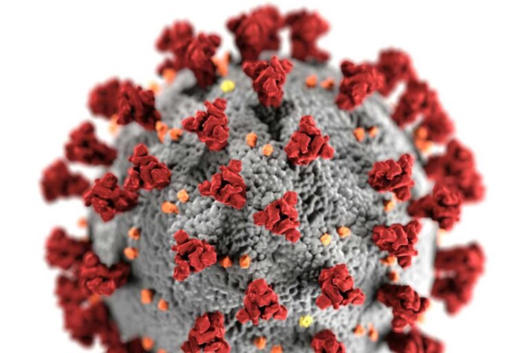COVID 19 virus