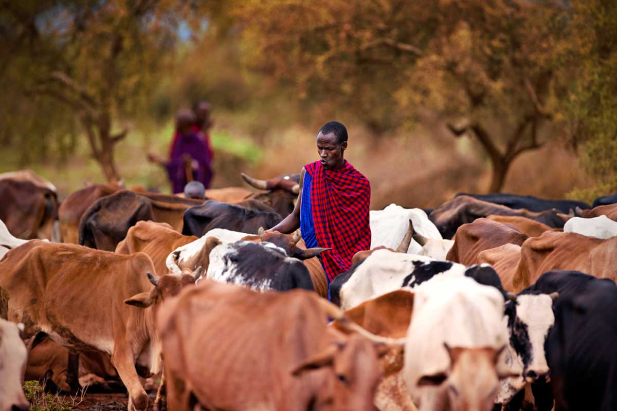 CEPI to invest up to $25.9 million in trials in East Africa