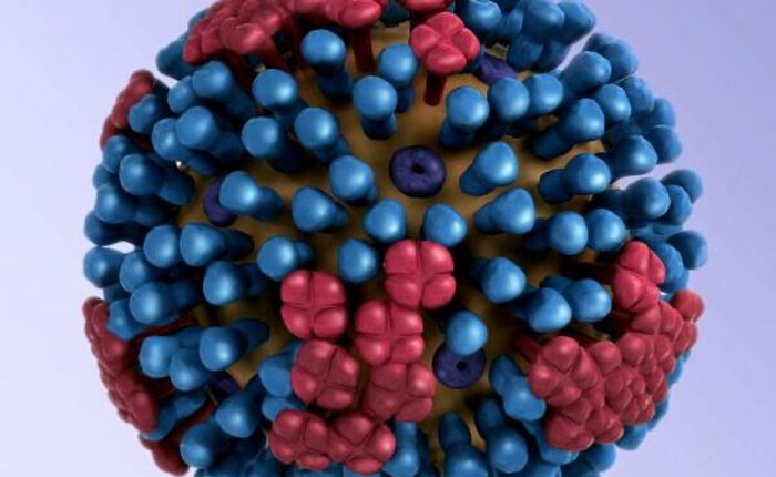 Influenza